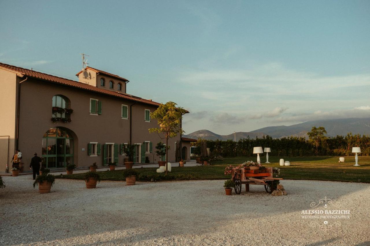 Fattoria L'Olmetto Villa Pisa Eksteriør billede