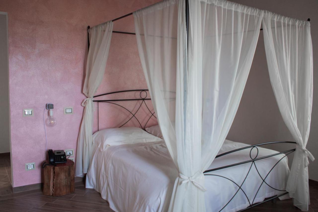 Fattoria L'Olmetto Villa Pisa Eksteriør billede