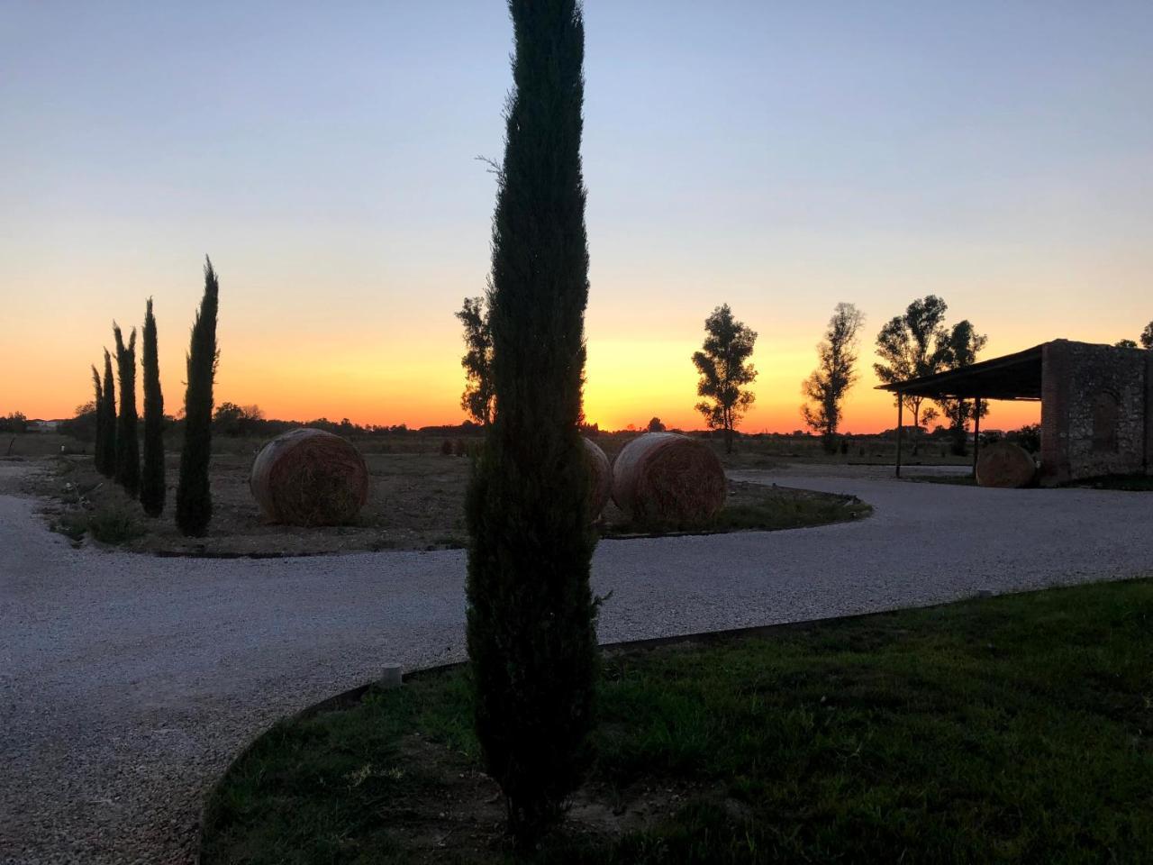 Fattoria L'Olmetto Villa Pisa Eksteriør billede
