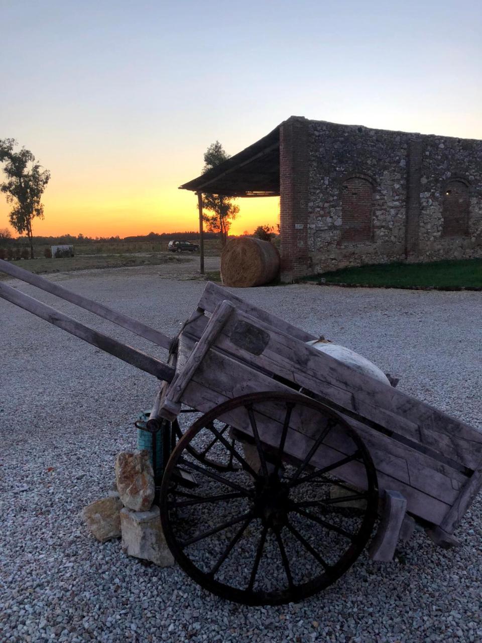 Fattoria L'Olmetto Villa Pisa Eksteriør billede