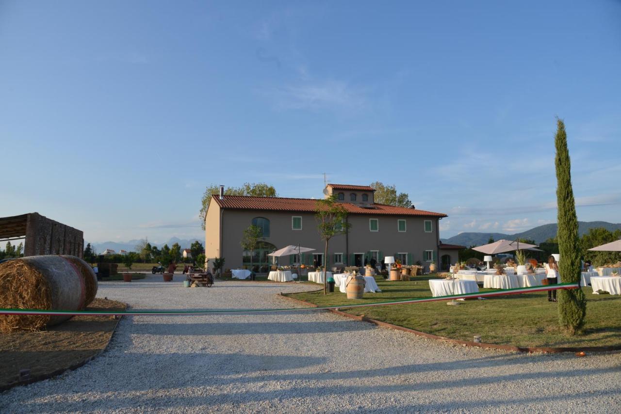 Fattoria L'Olmetto Villa Pisa Eksteriør billede