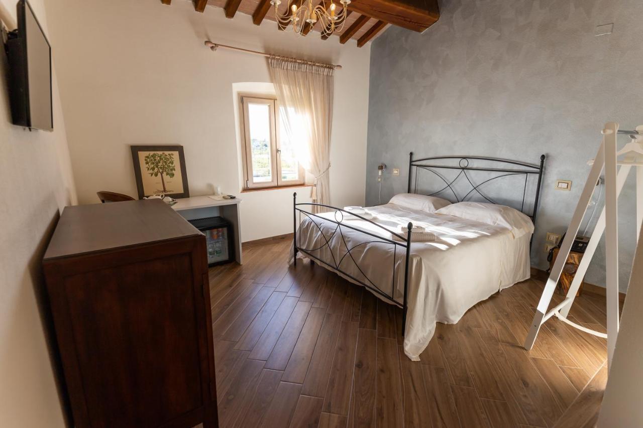 Fattoria L'Olmetto Villa Pisa Eksteriør billede