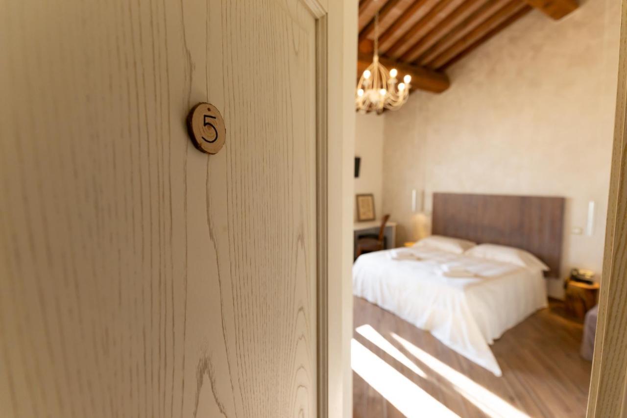 Fattoria L'Olmetto Villa Pisa Eksteriør billede