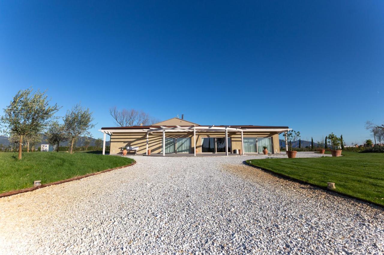 Fattoria L'Olmetto Villa Pisa Eksteriør billede