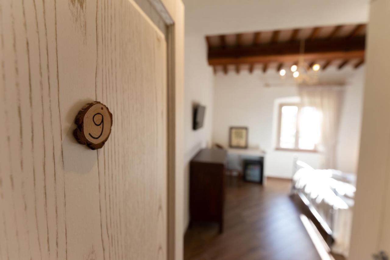 Fattoria L'Olmetto Villa Pisa Eksteriør billede