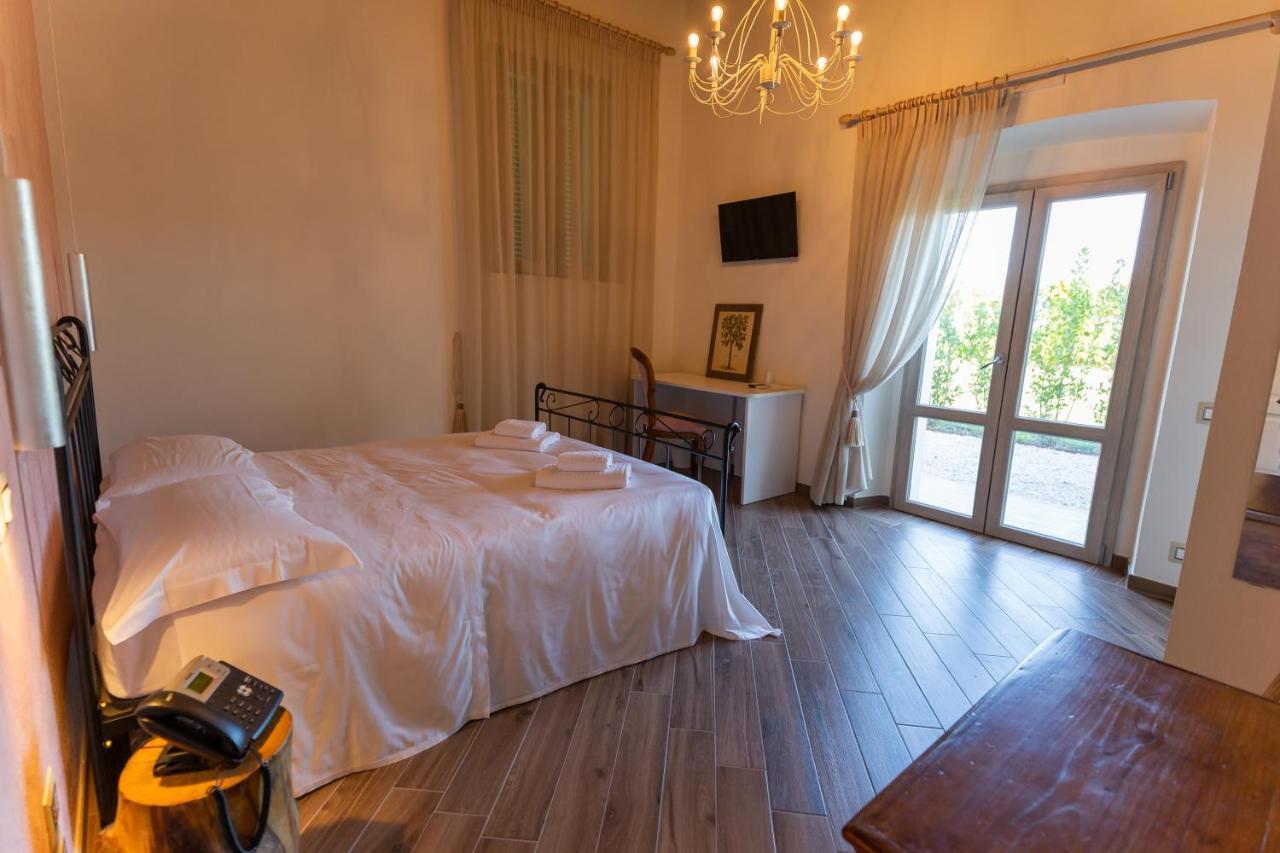 Fattoria L'Olmetto Villa Pisa Eksteriør billede