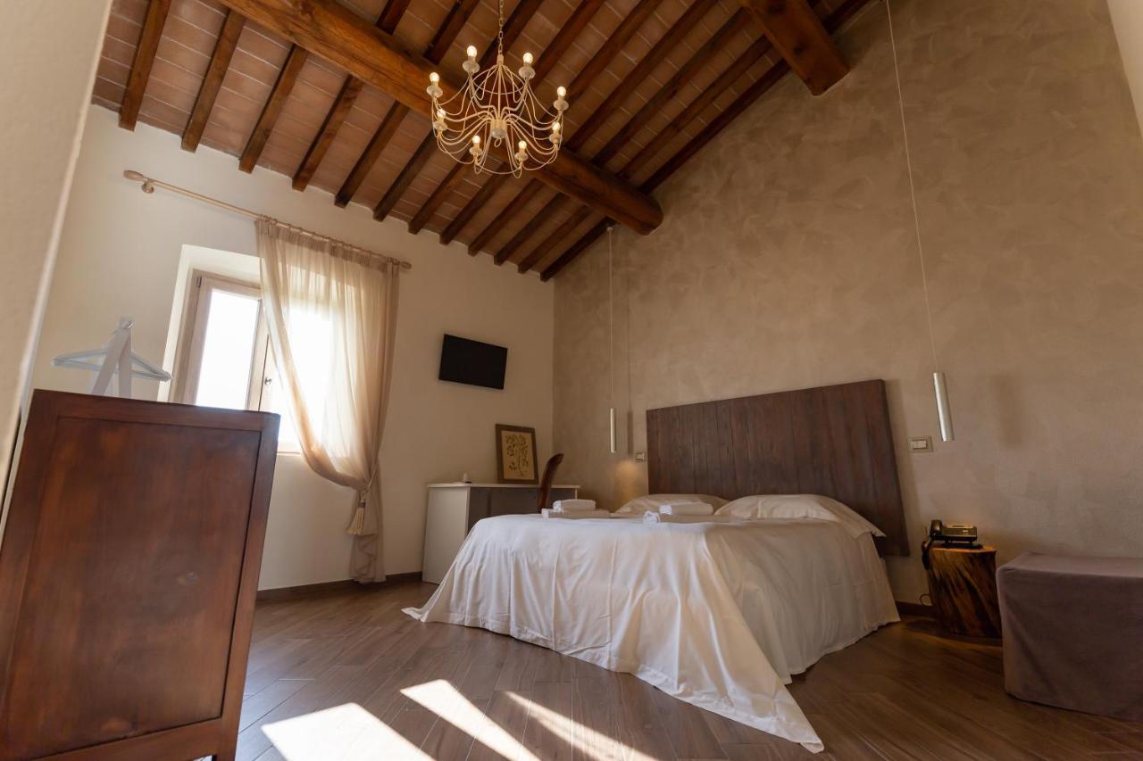 Fattoria L'Olmetto Villa Pisa Eksteriør billede