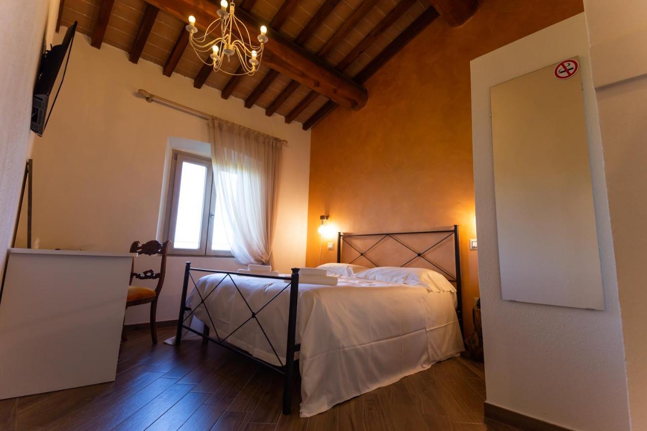 Fattoria L'Olmetto Villa Pisa Eksteriør billede