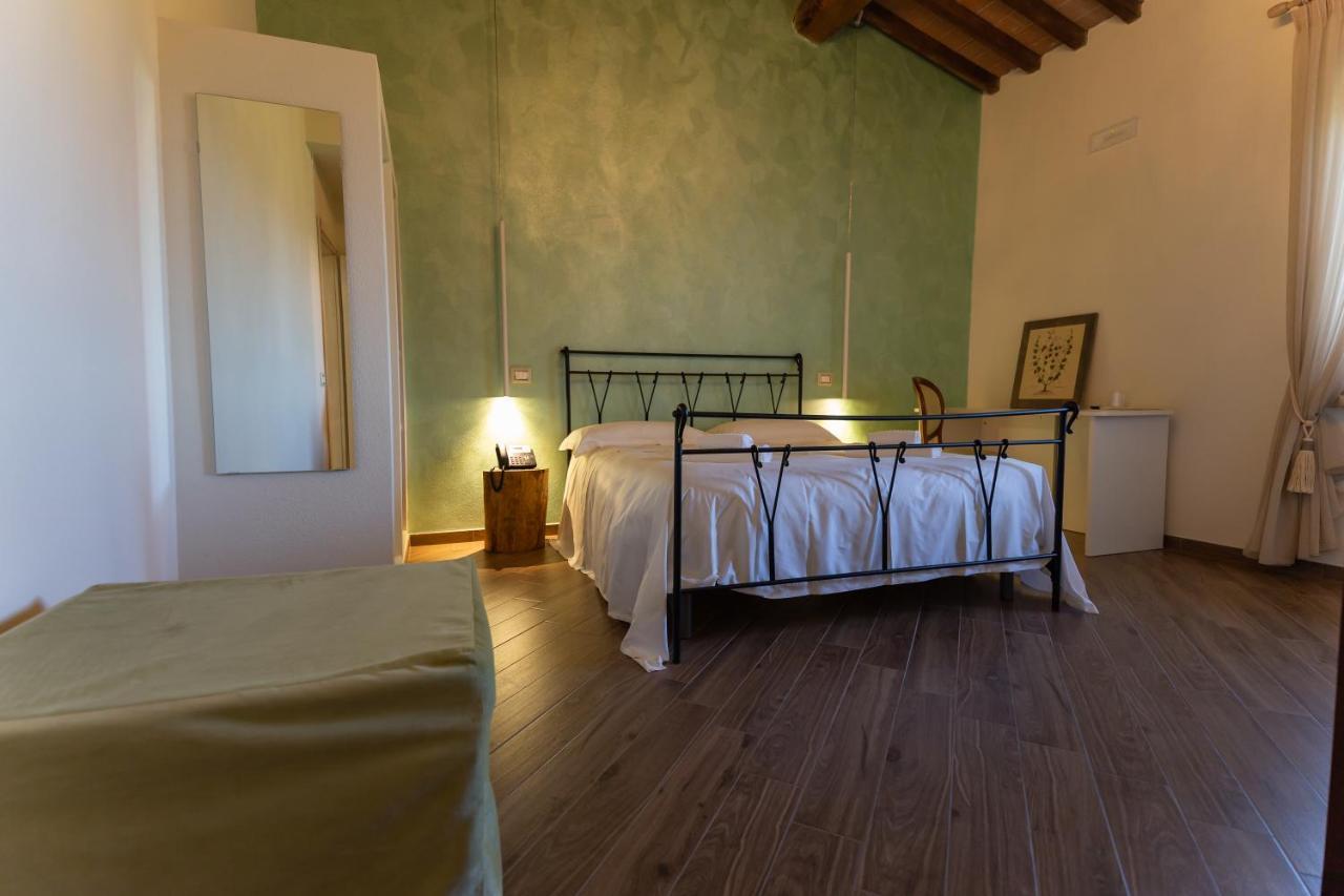 Fattoria L'Olmetto Villa Pisa Eksteriør billede